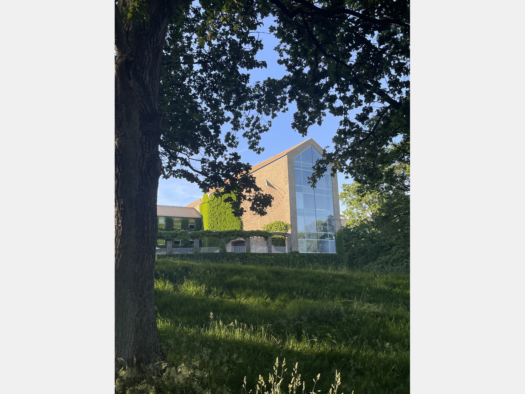 Image from Aarhus University