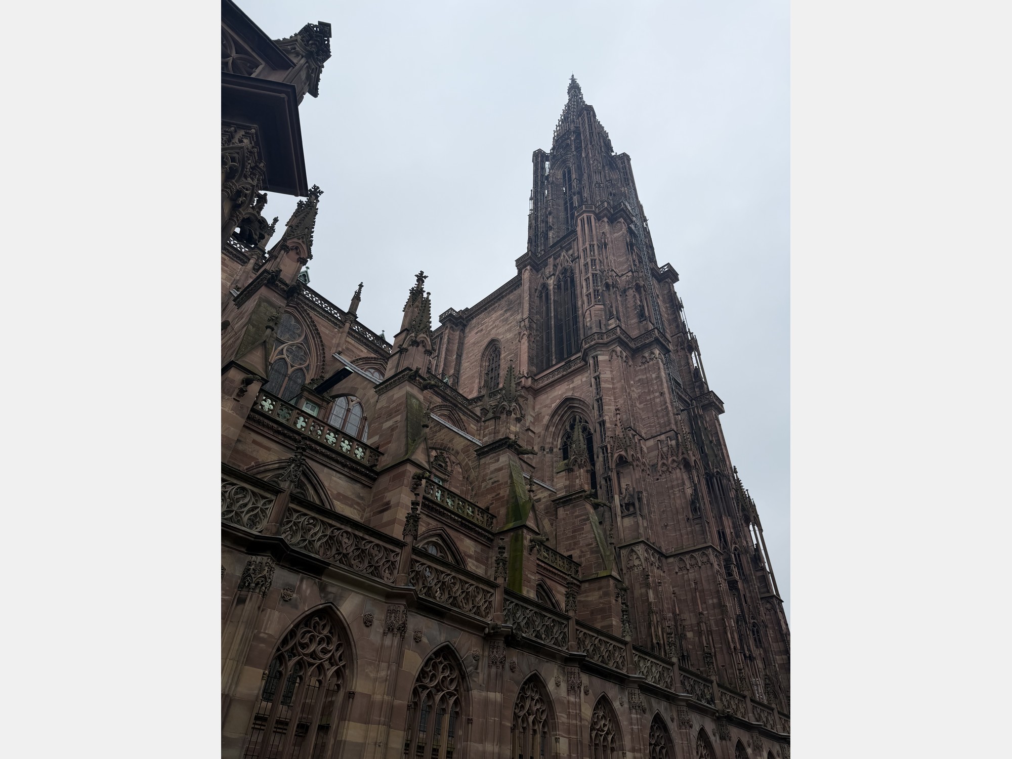 Image from Université de Strasbourg