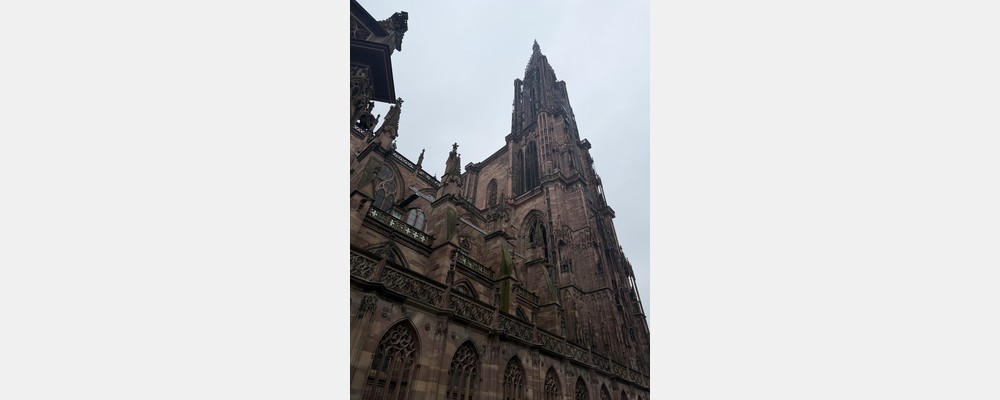 Image from Université de Strasbourg