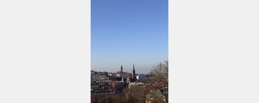 Image from University of Gothenburg