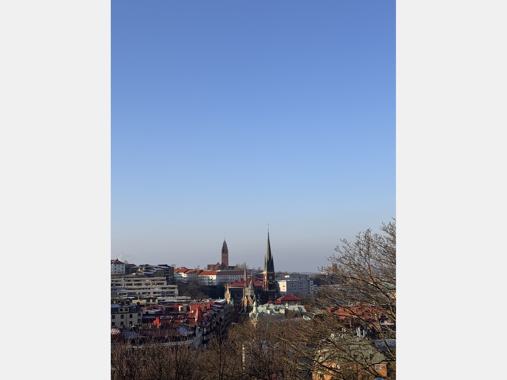 Image from University of Gothenburg