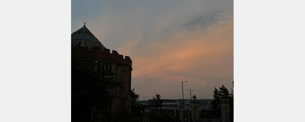 Image from The University of Sheffield