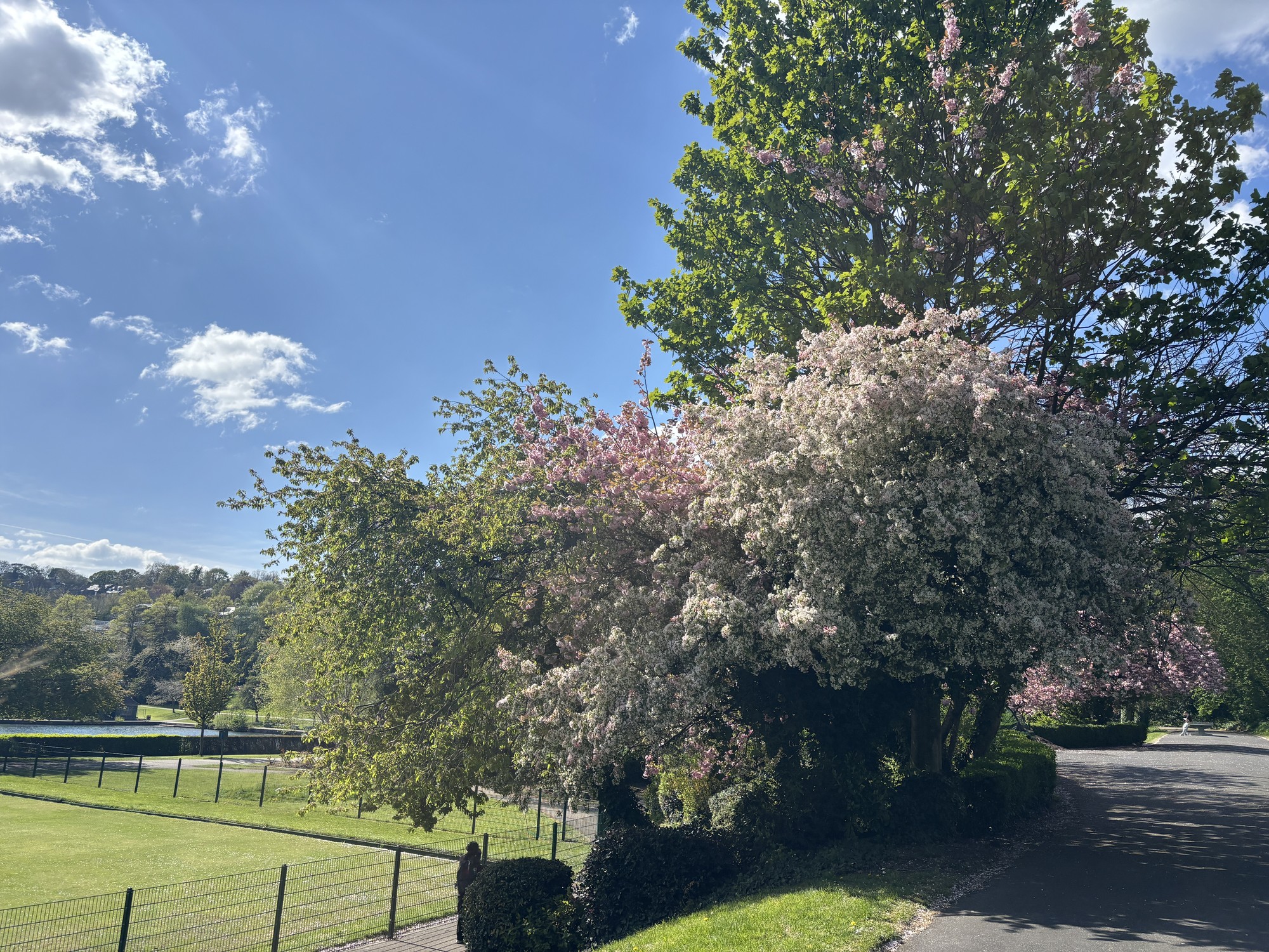 Image from The University of Sheffield