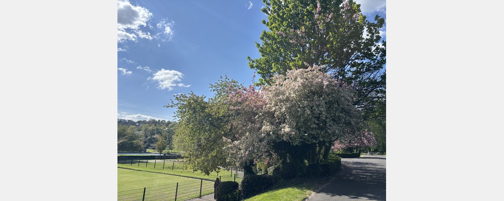 Image from The University of Sheffield