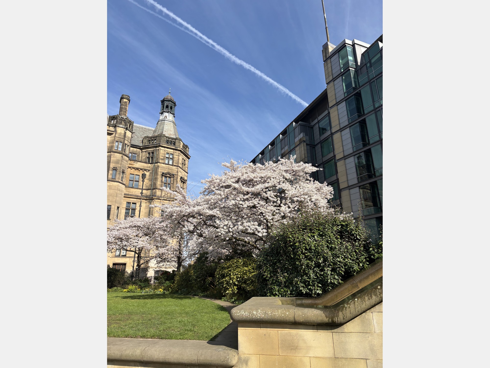 Image from The University of Sheffield