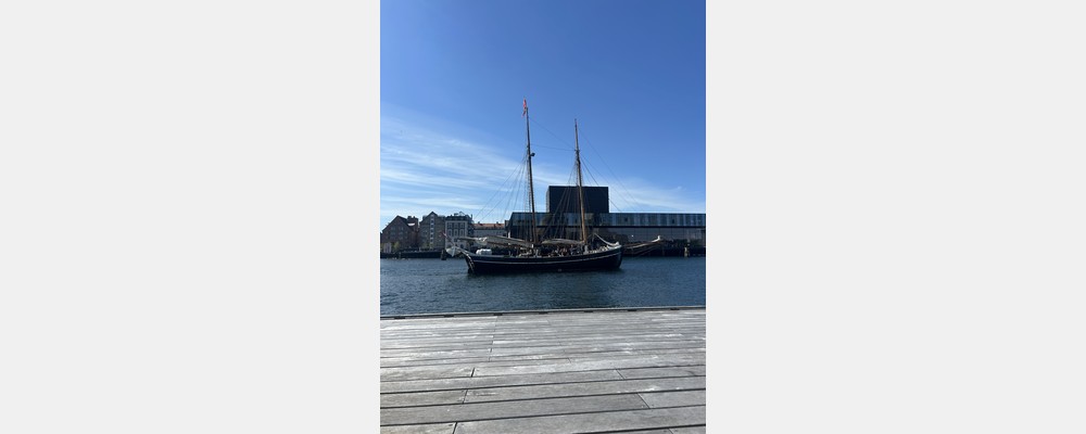 Image from Copenhagen Business School