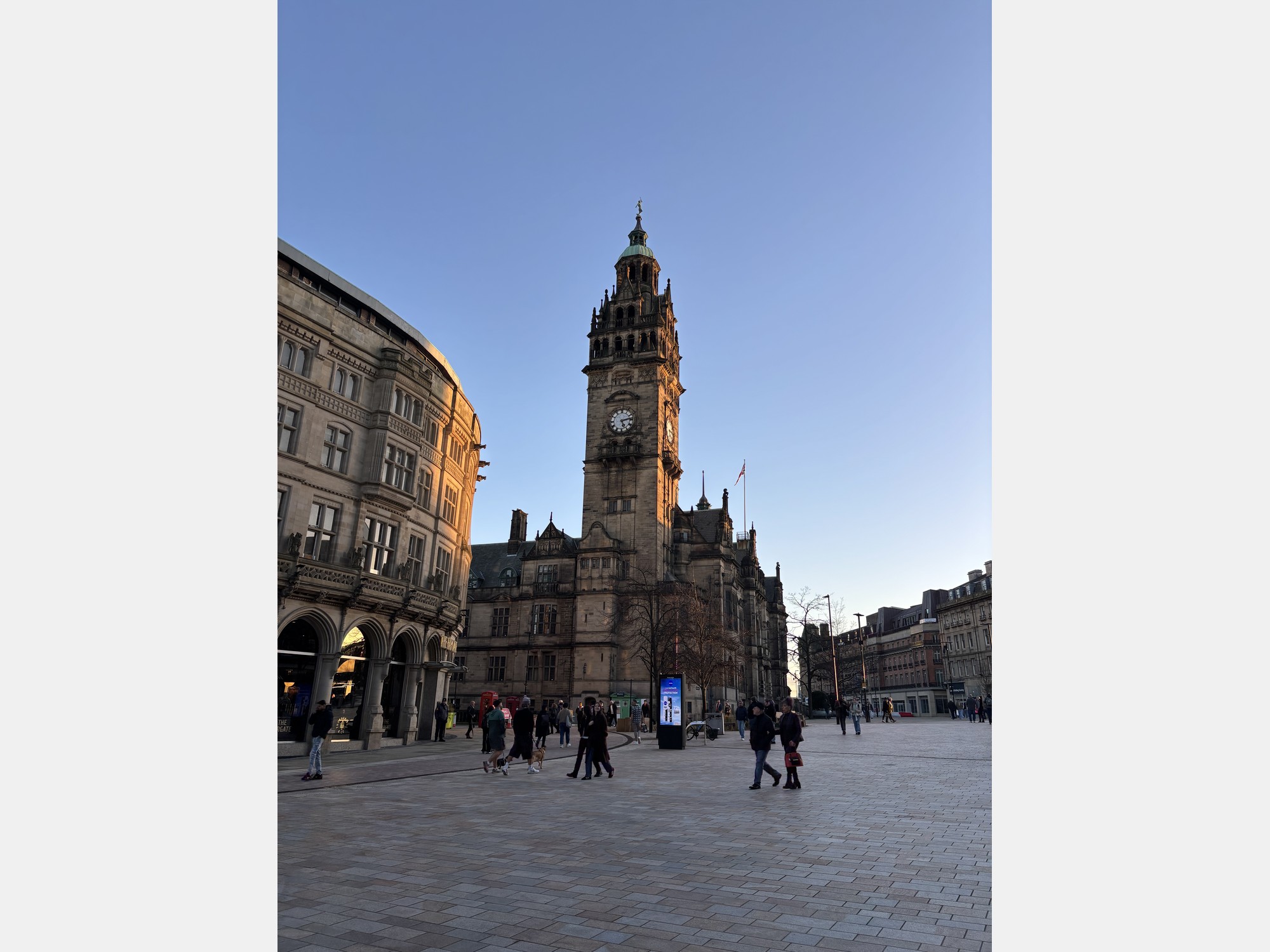 Image from The University of Sheffield