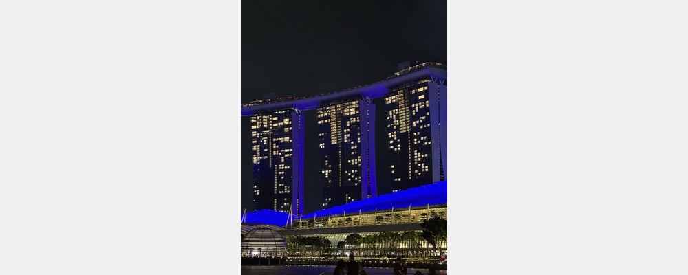 Image from National University of Singapore