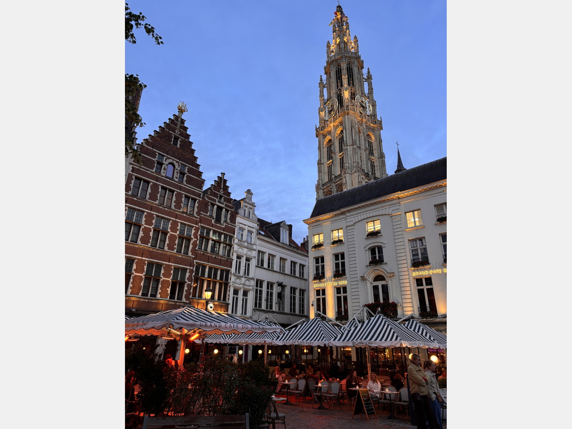 Image from University of Antwerp