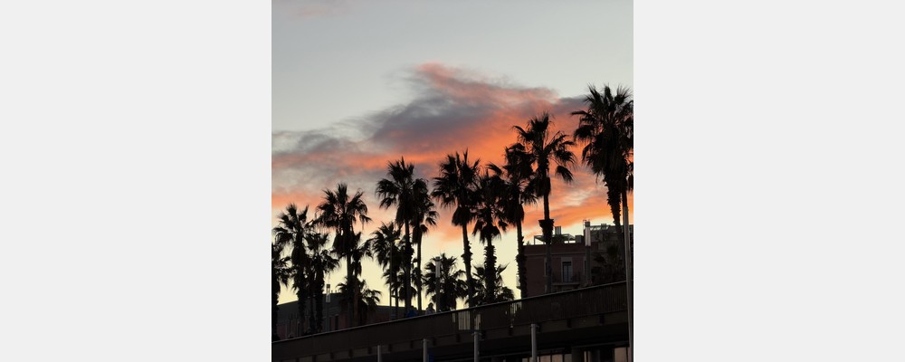 Image from Universitat Pompeu Fabra