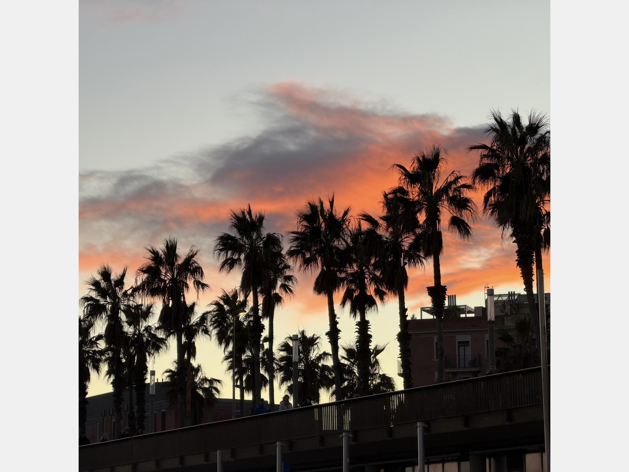 Image from Universitat Pompeu Fabra