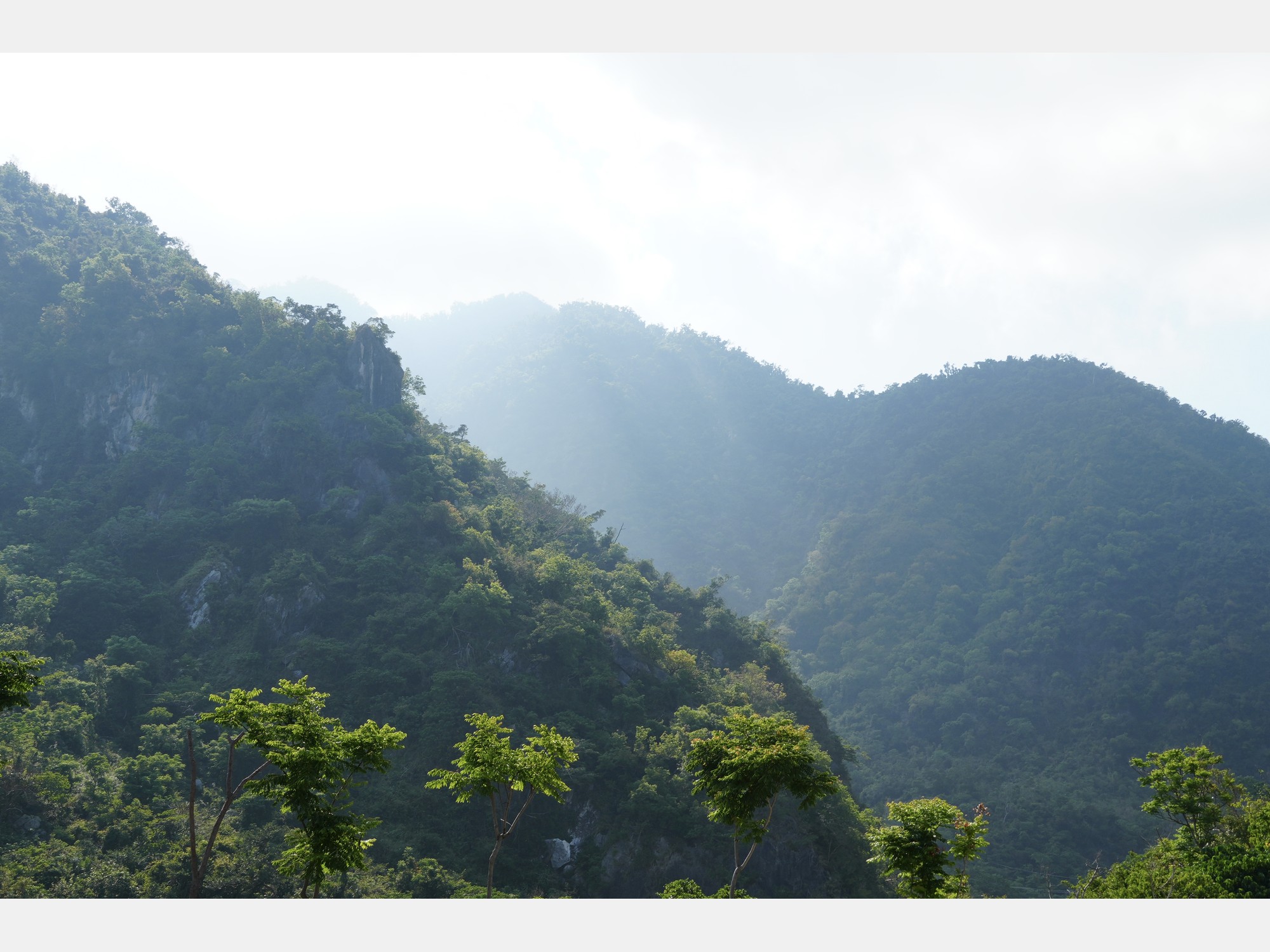 Image from National Chengchi University