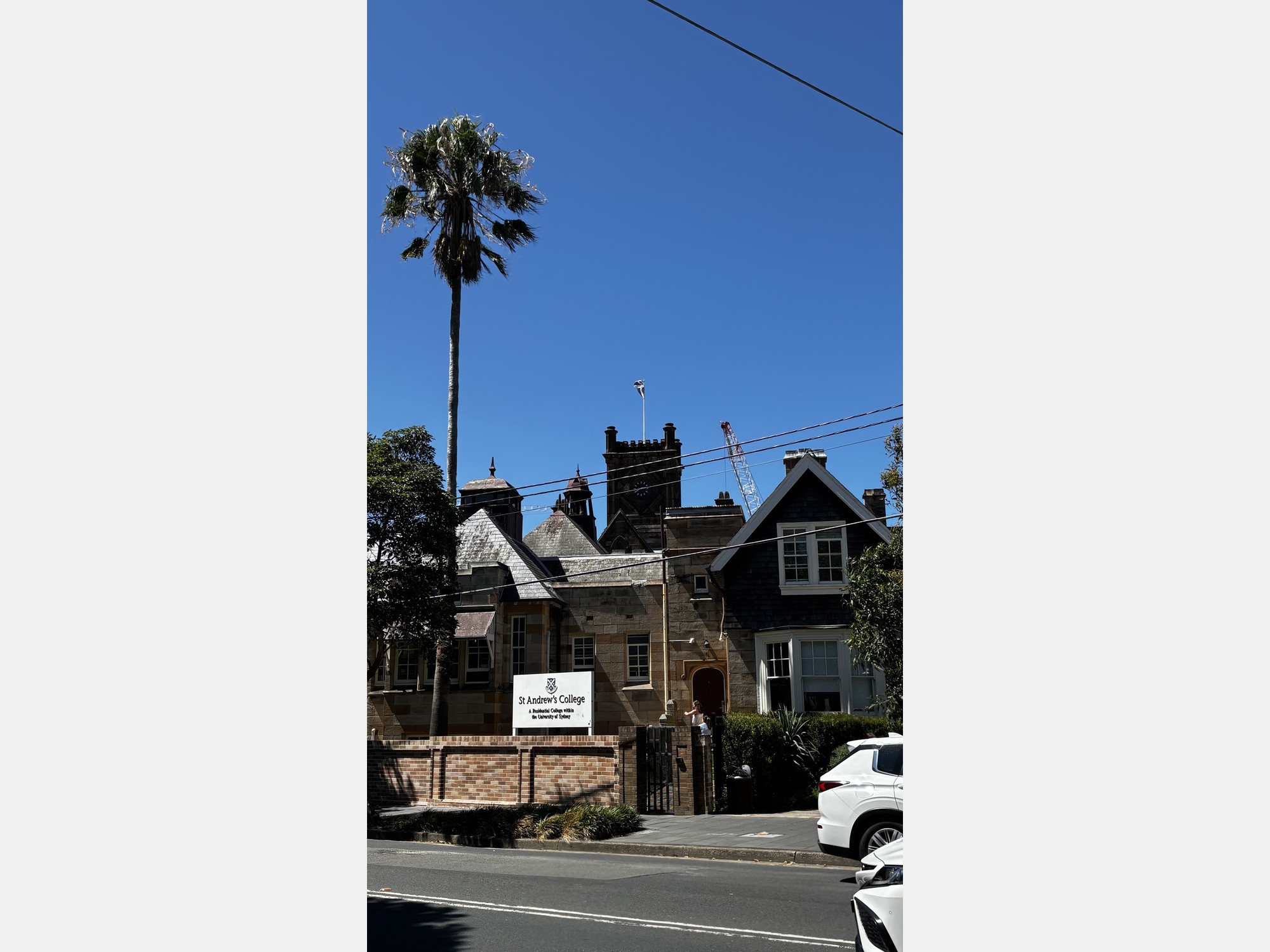 Image from The University of Sydney