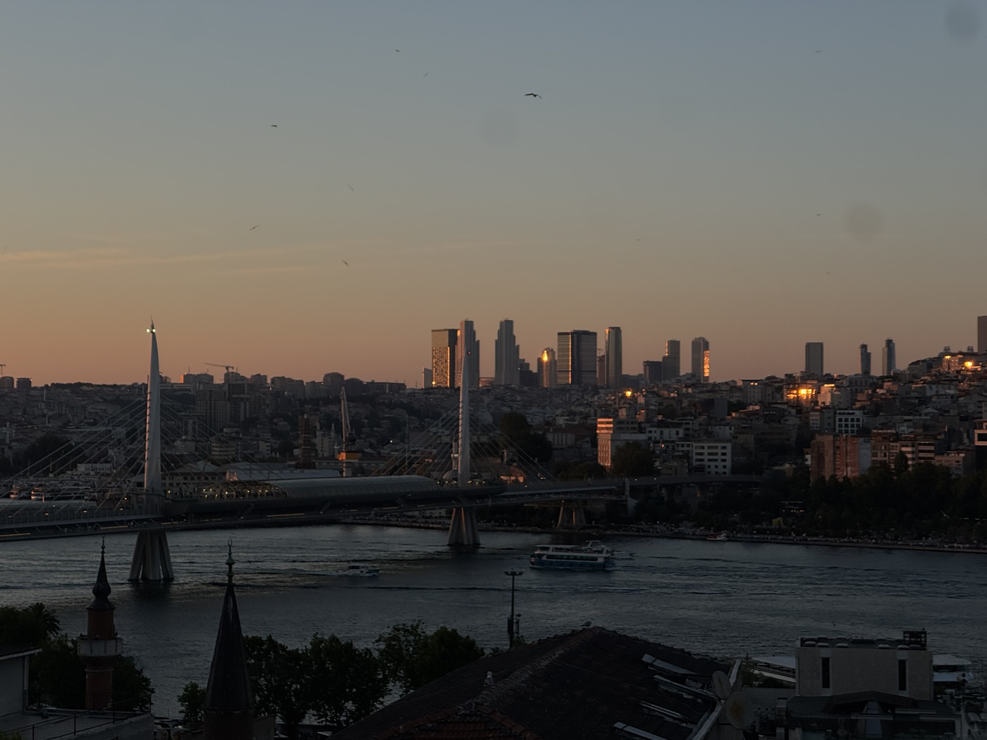 Image from Koç University