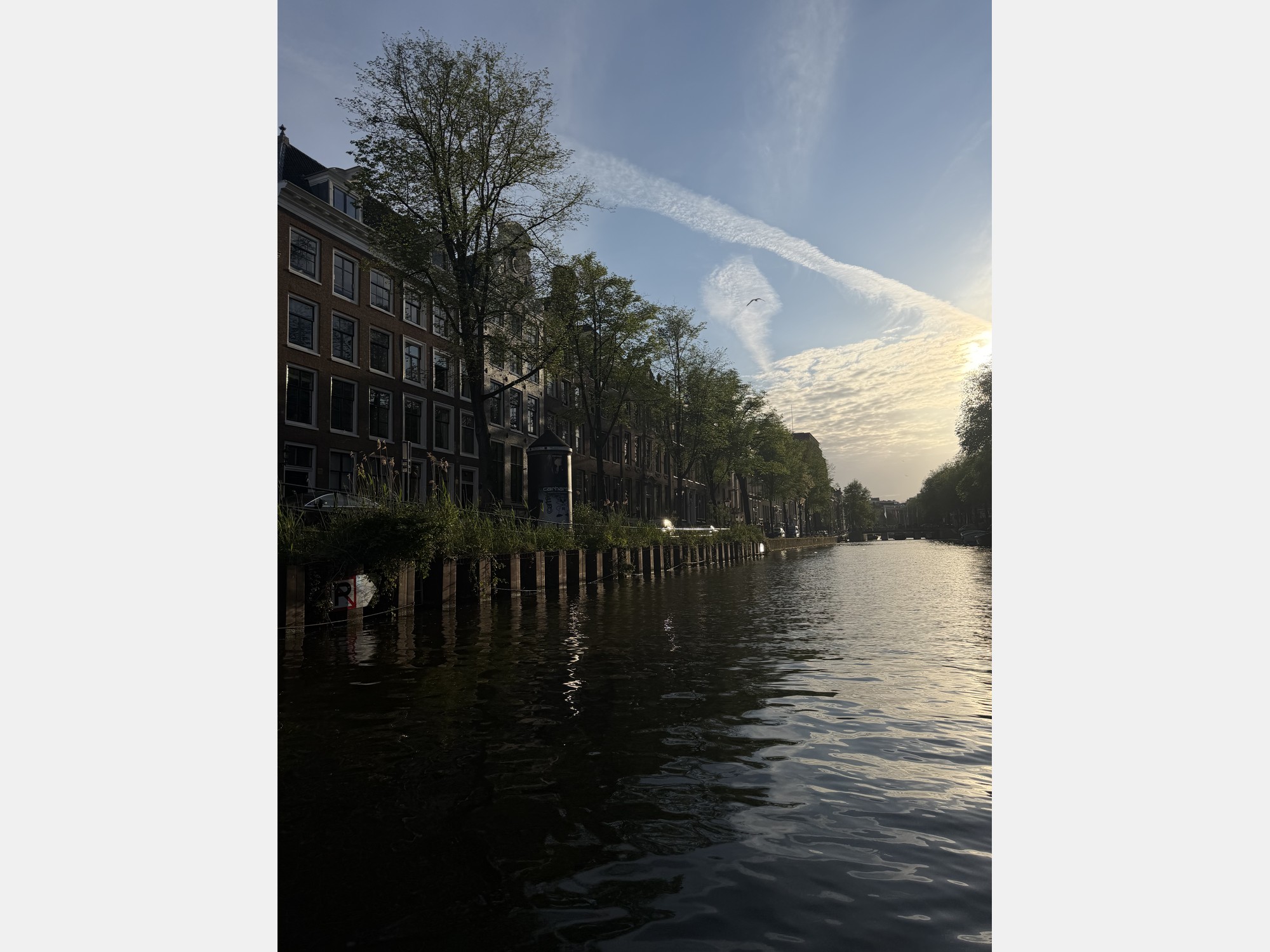 Image from VU University Amsterdam