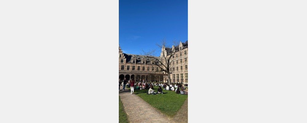Image from University of Antwerp