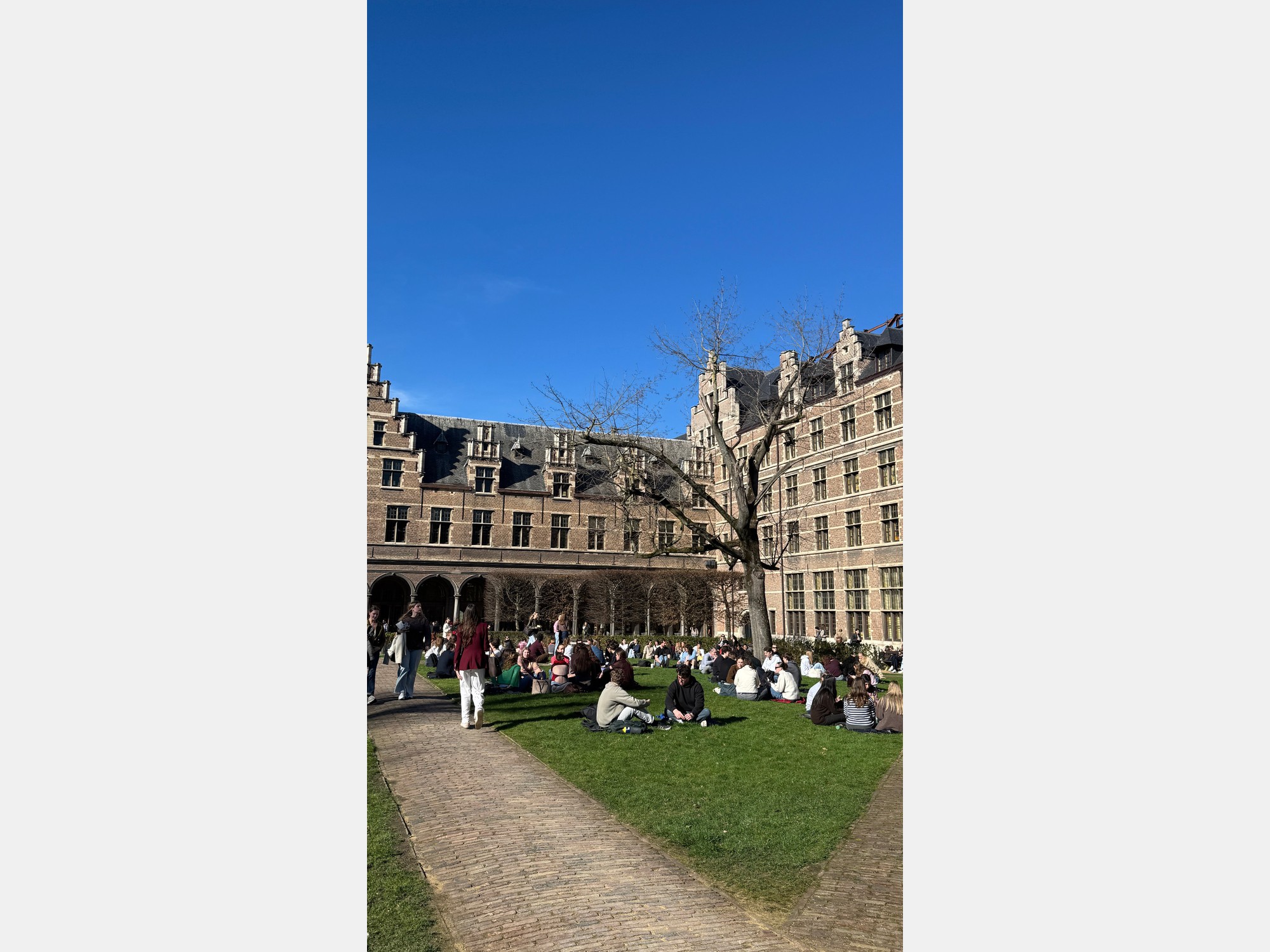 Image from University of Antwerp
