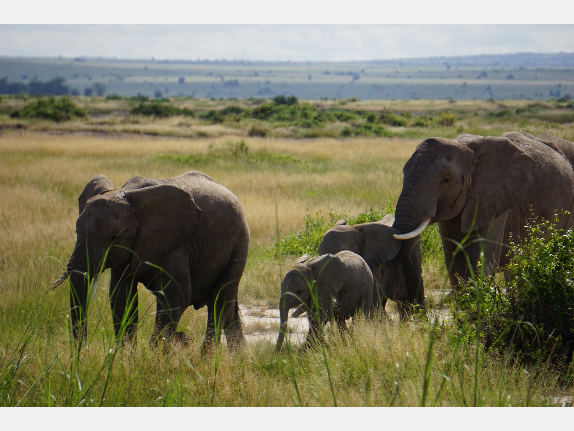 Image from Strathmore University