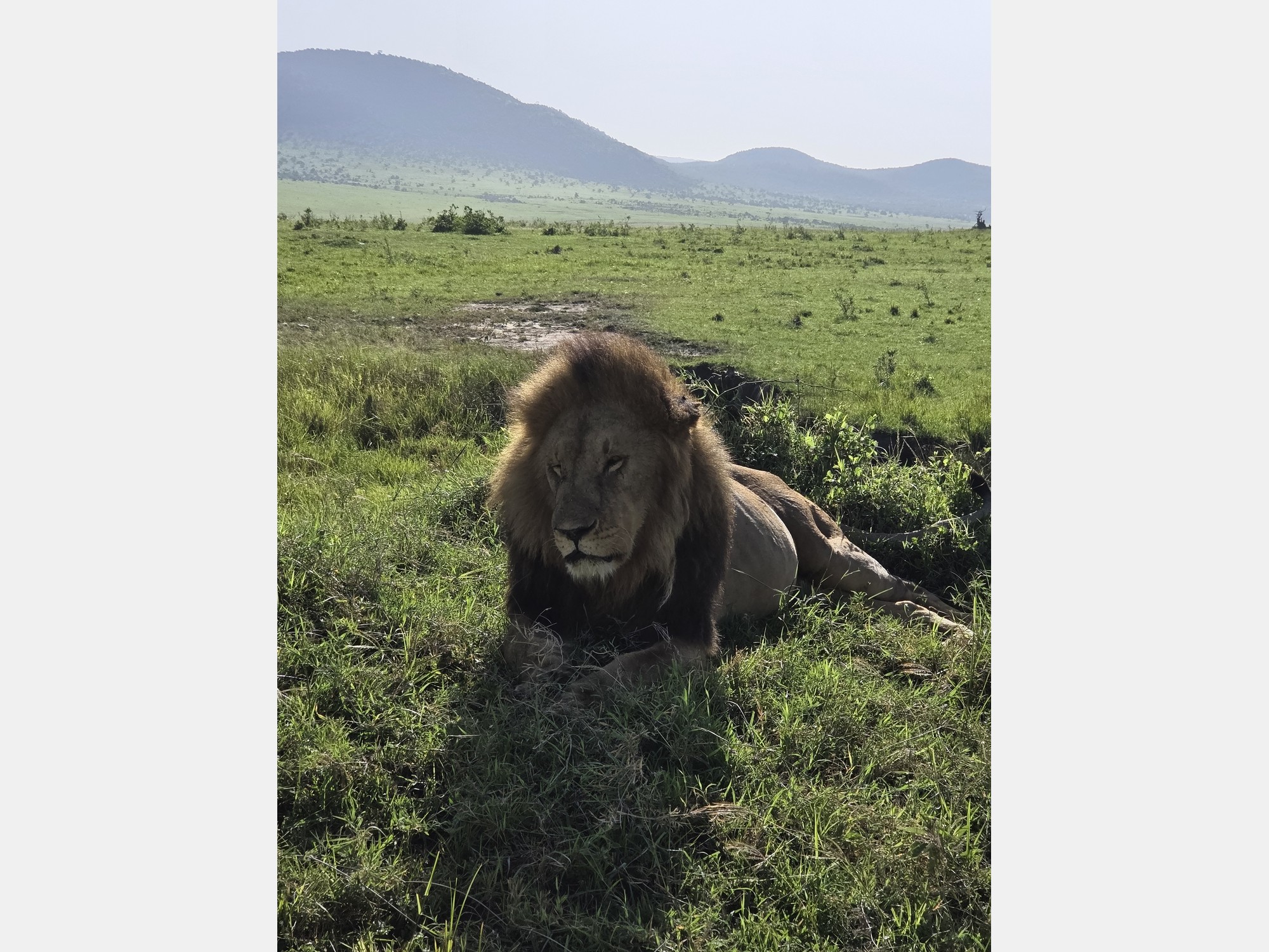 Image from Strathmore University