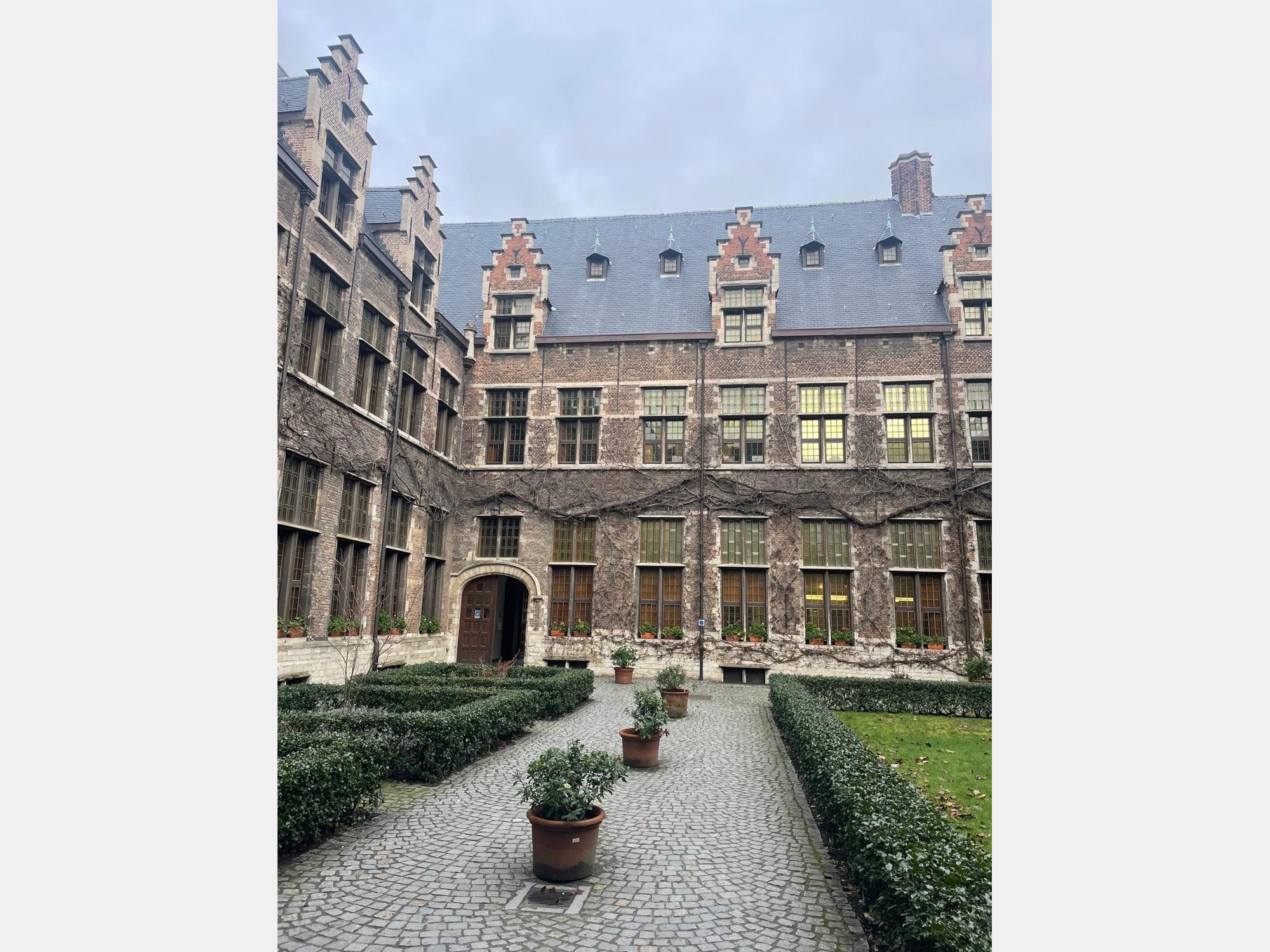 Image from University of Antwerp