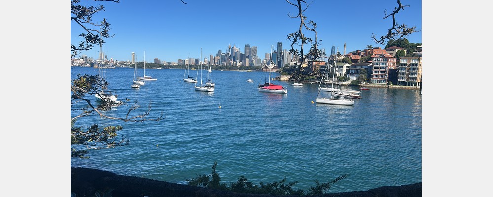 Image from University of Technology Sydney