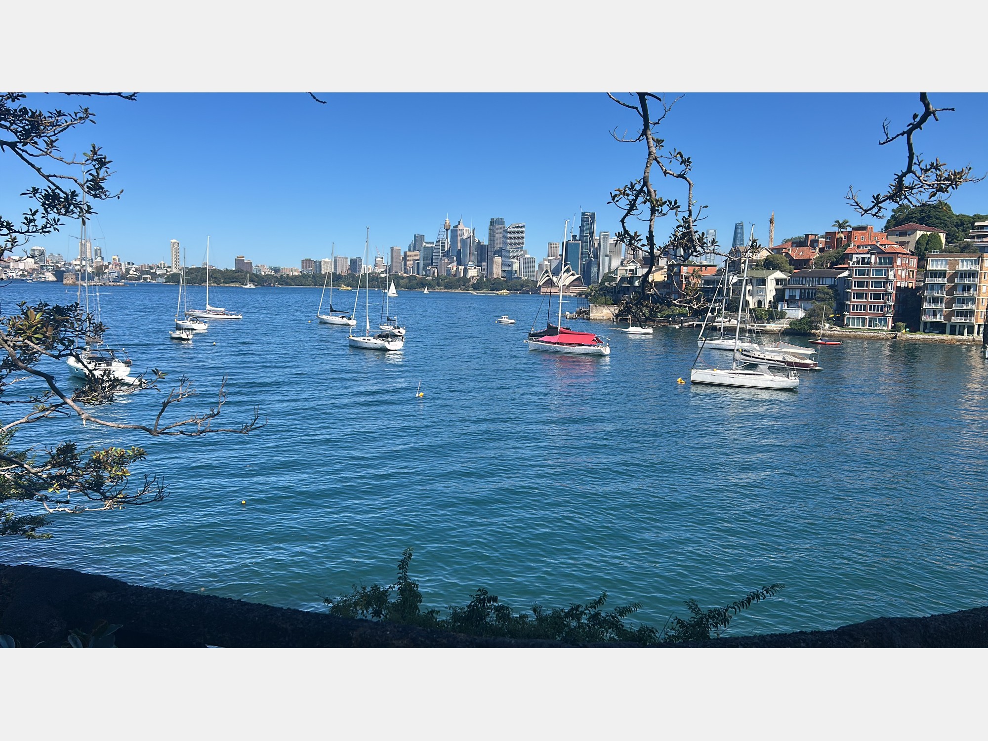 Image from University of Technology Sydney