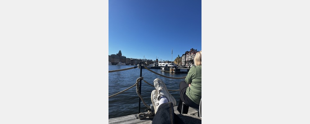 Image from Uppsala University