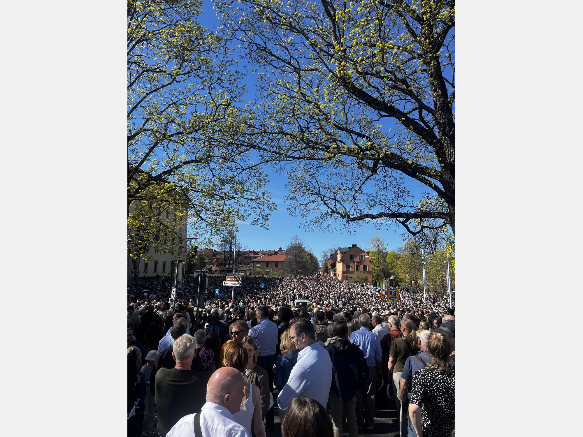 Image from Uppsala University