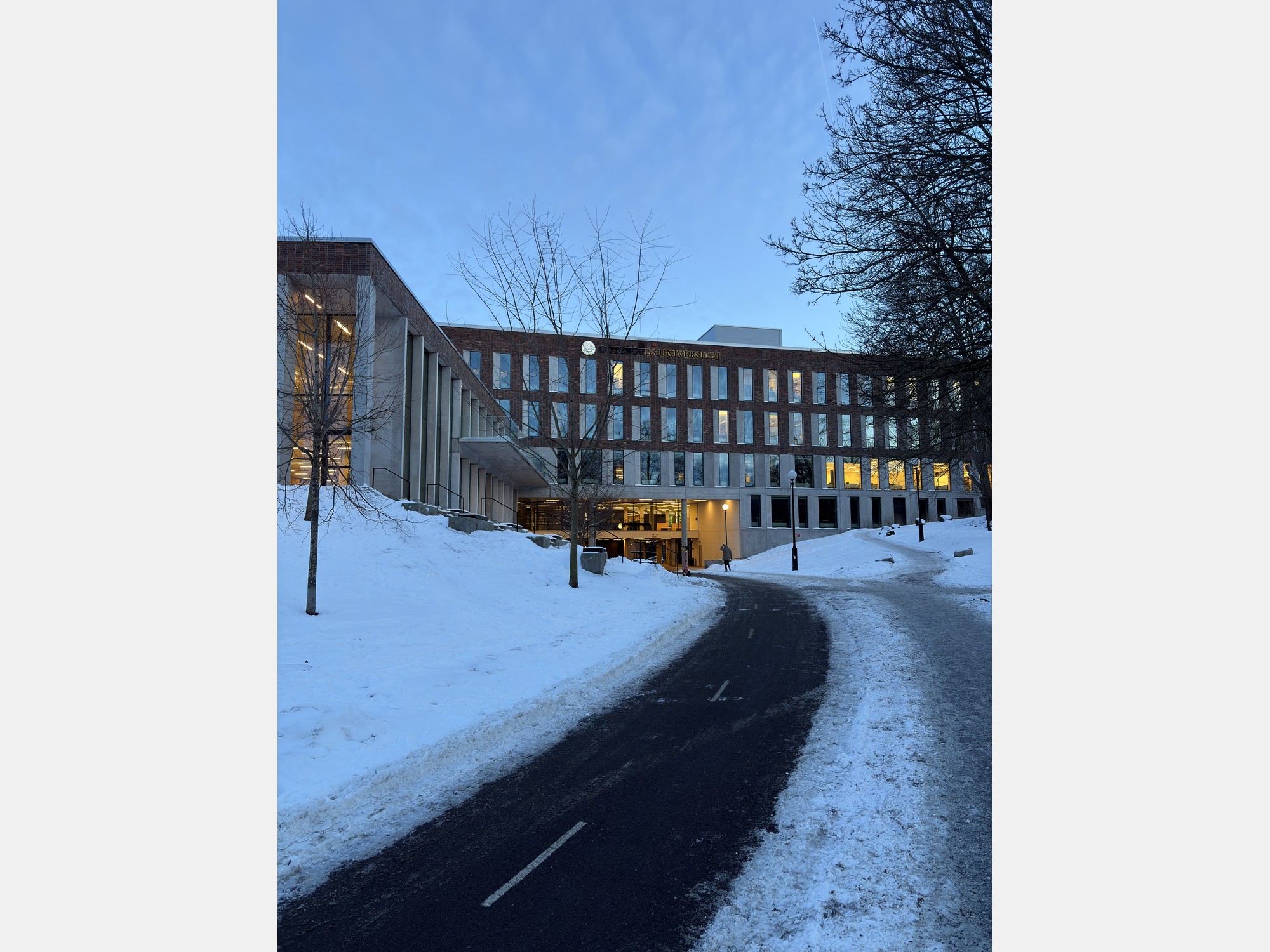 Image from University of Gothenburg