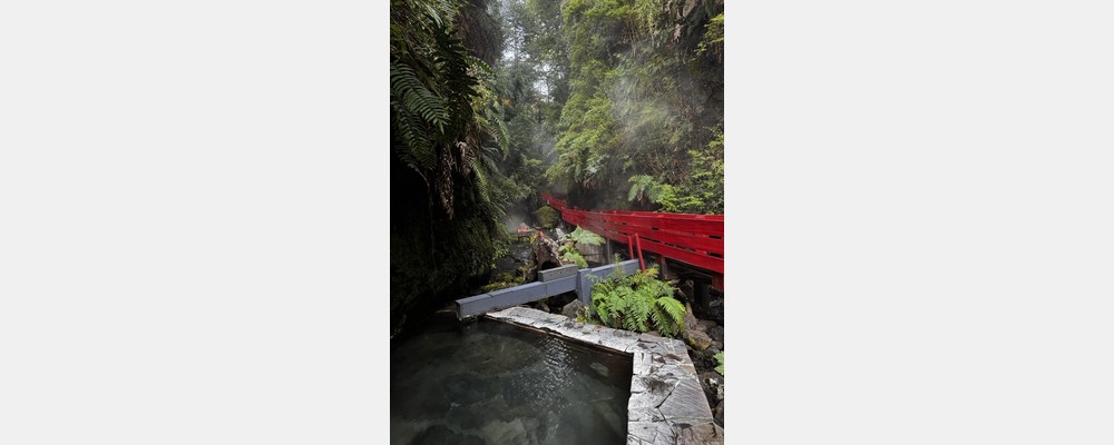 Image from Universidad de los Andes