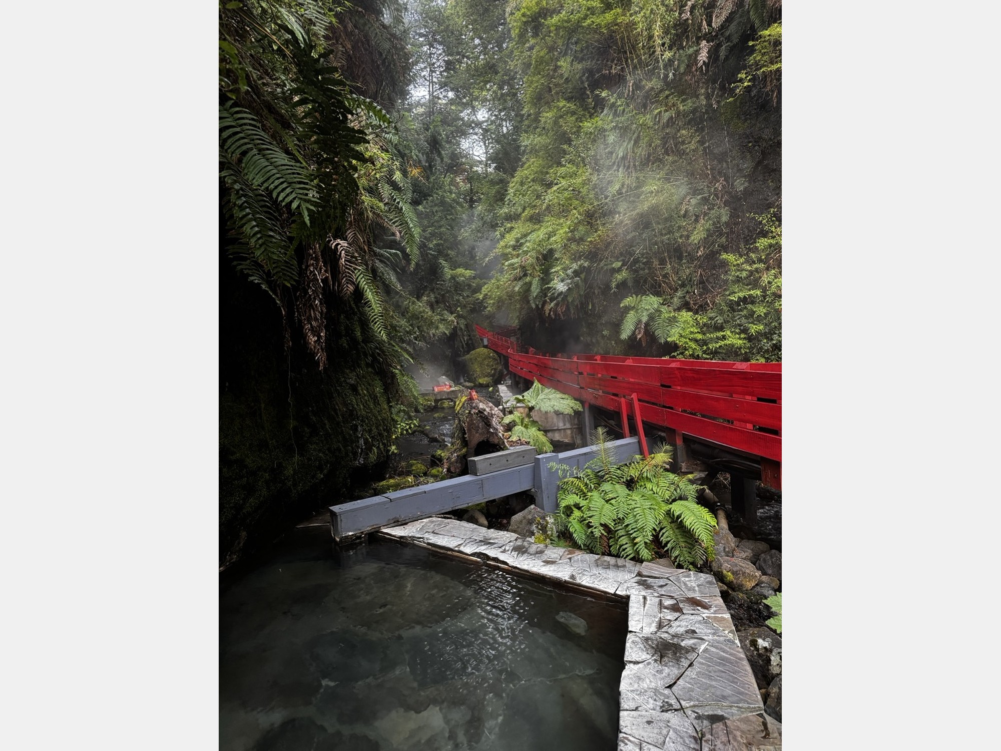 Image from Universidad de los Andes