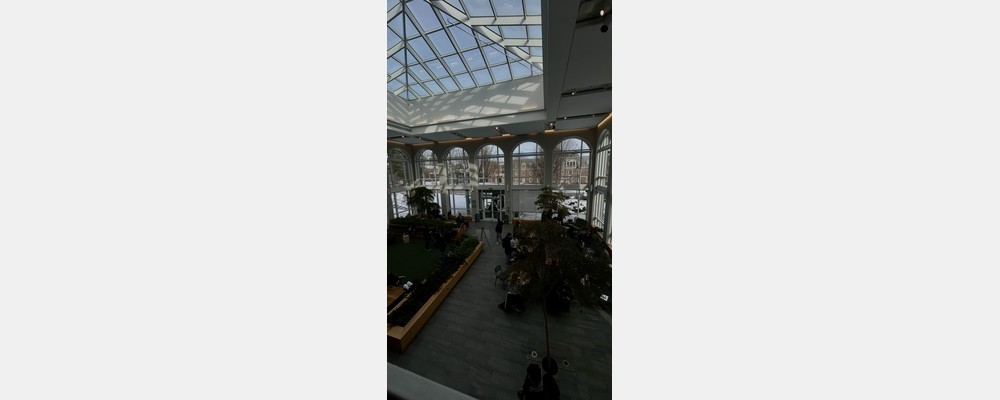 Image from Babson College