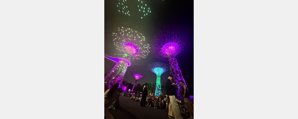 Image from Nanyang Technological University