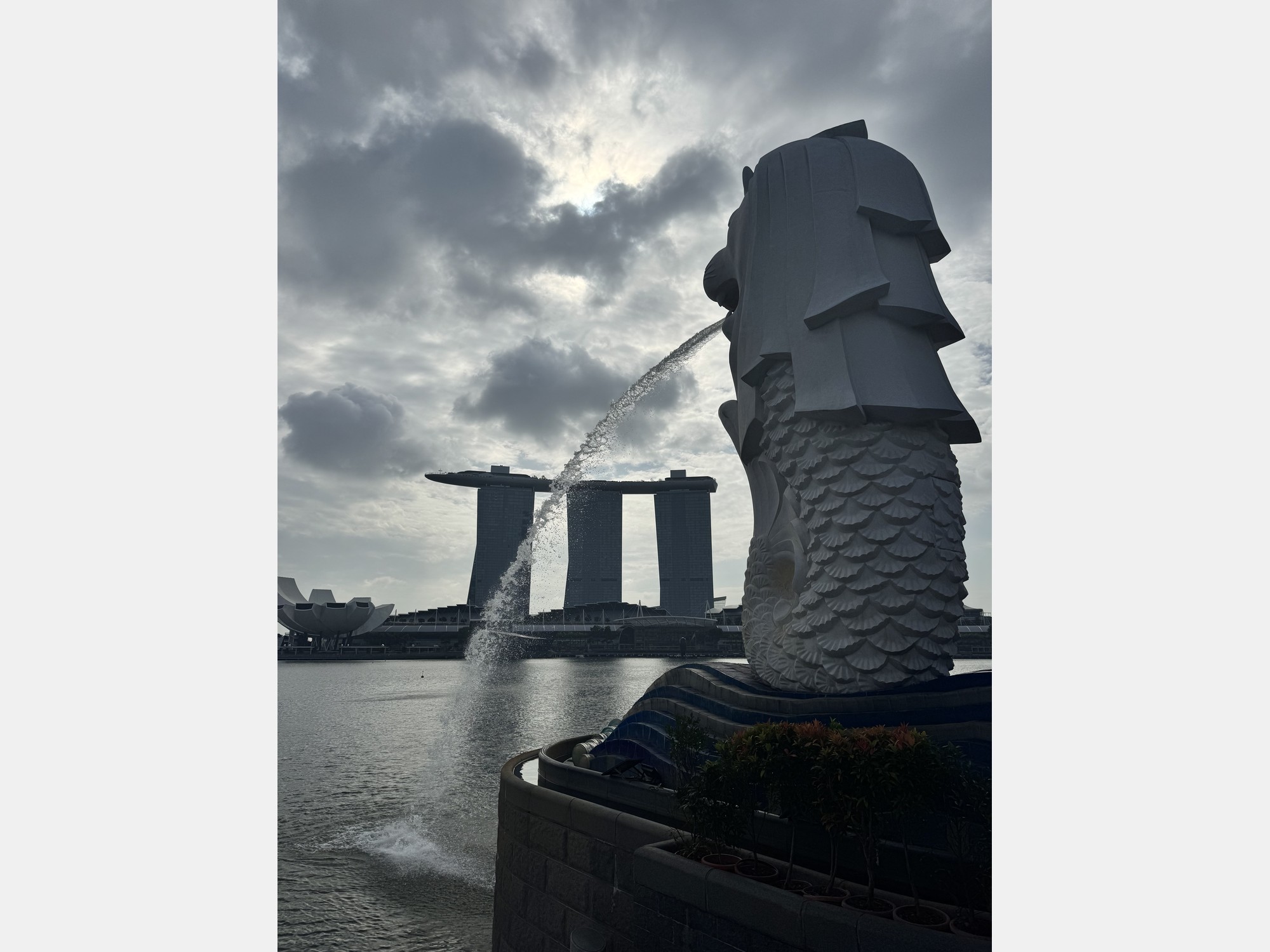 Image from Nanyang Technological University