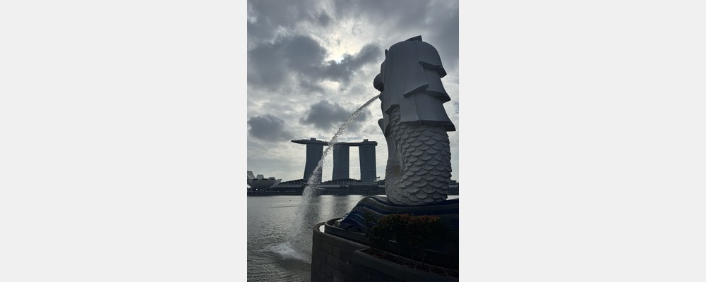 Image from Nanyang Technological University