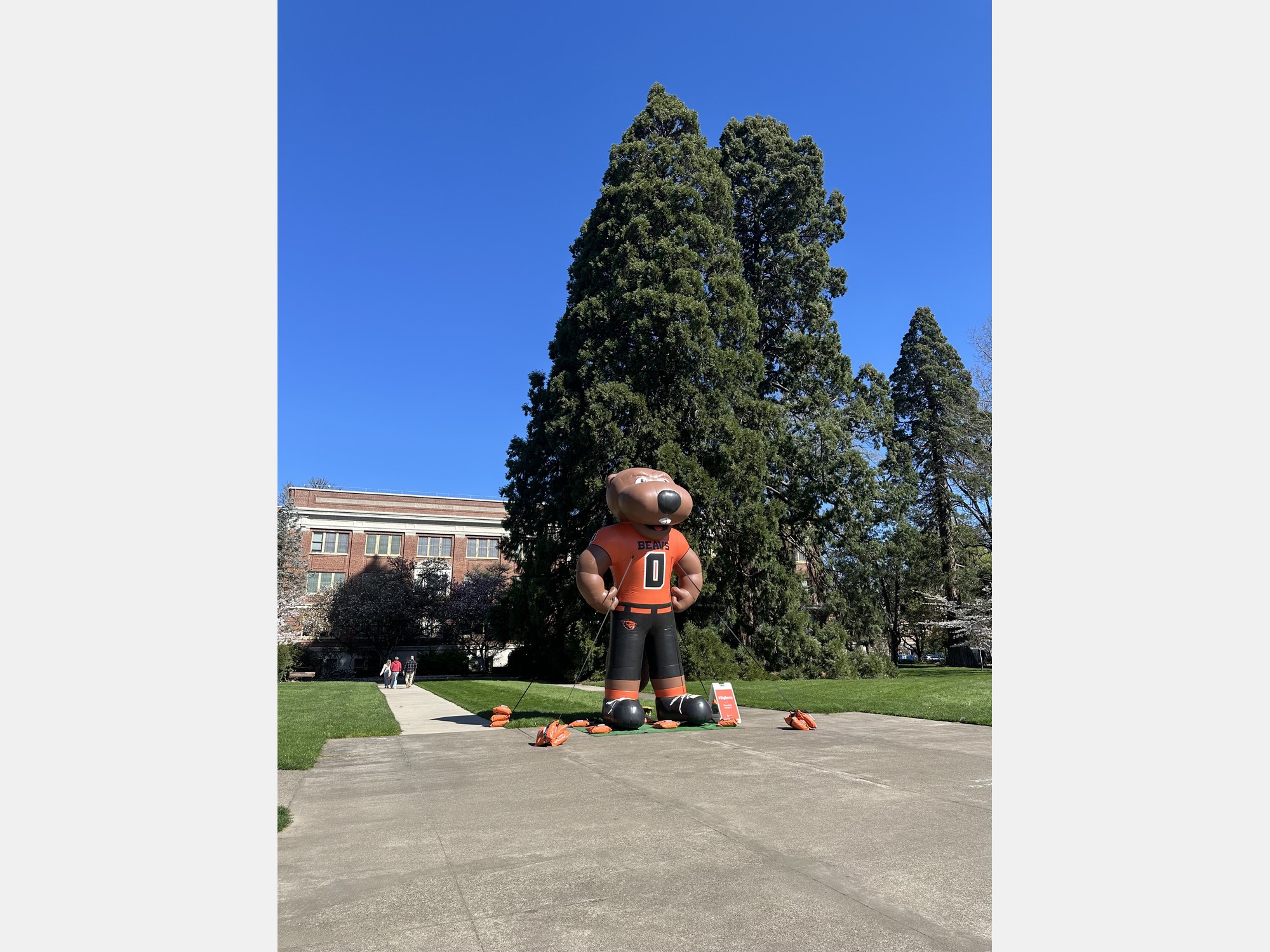 Image from Oregon State University