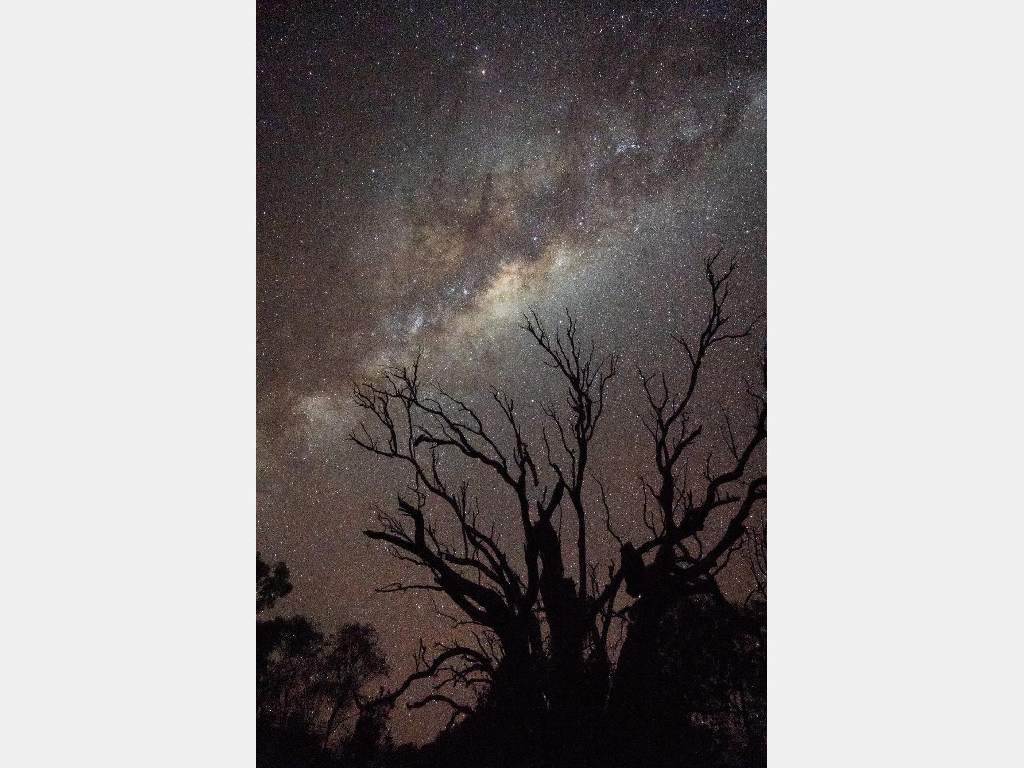 Image from The University of New South Wales