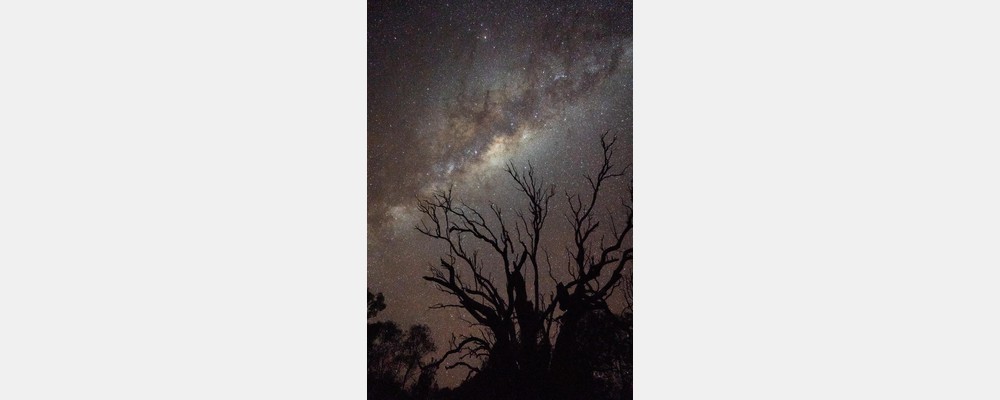 Image from The University of New South Wales
