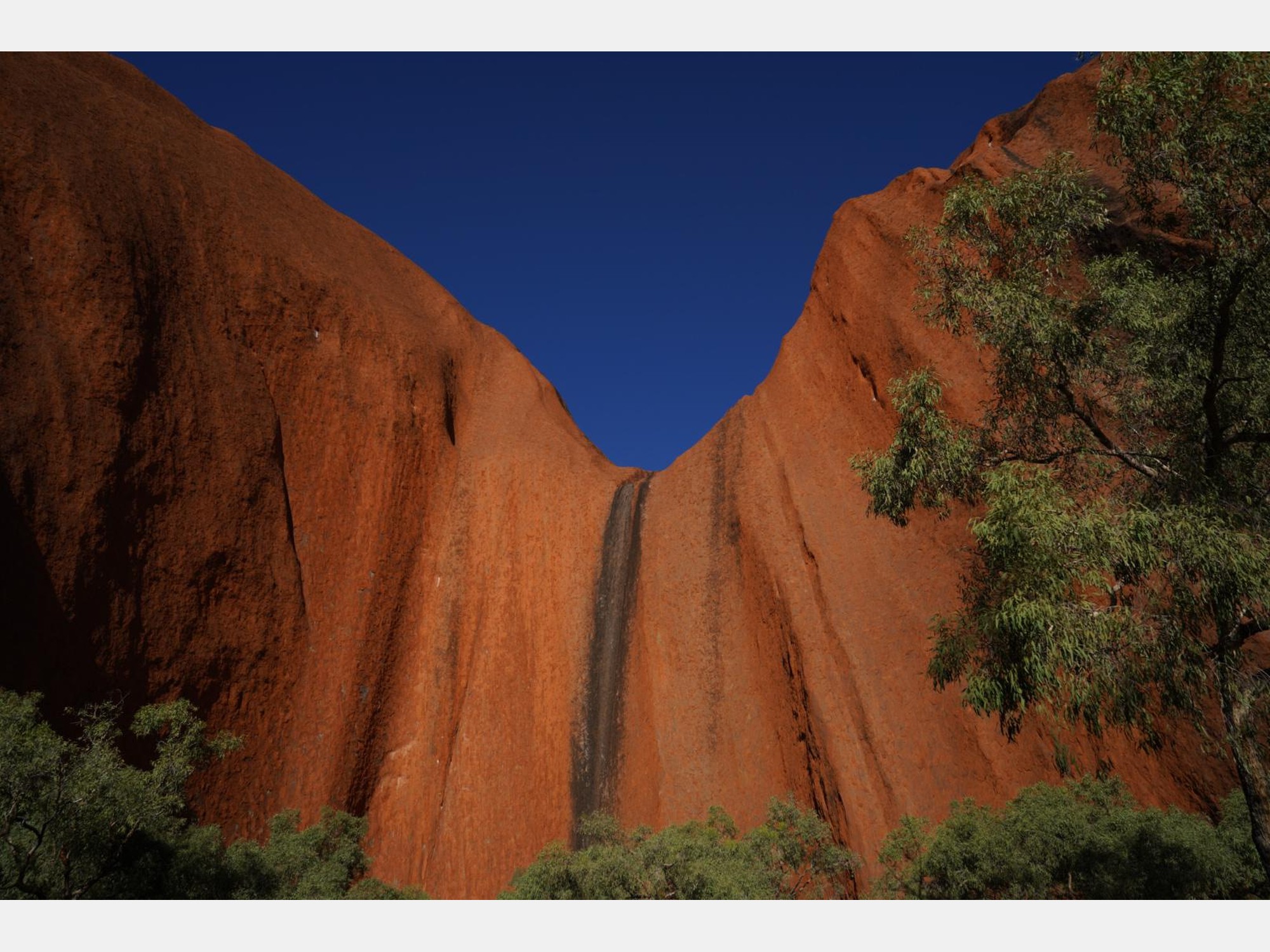 Image from The University of New South Wales