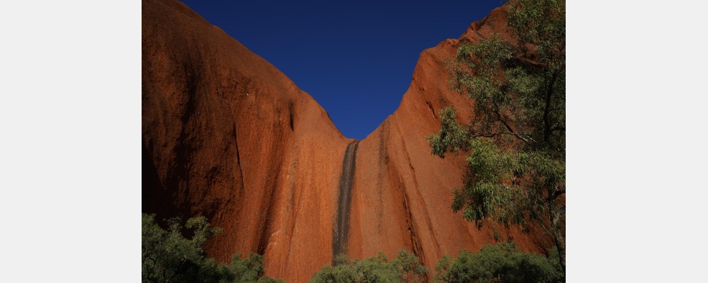 Image from The University of New South Wales