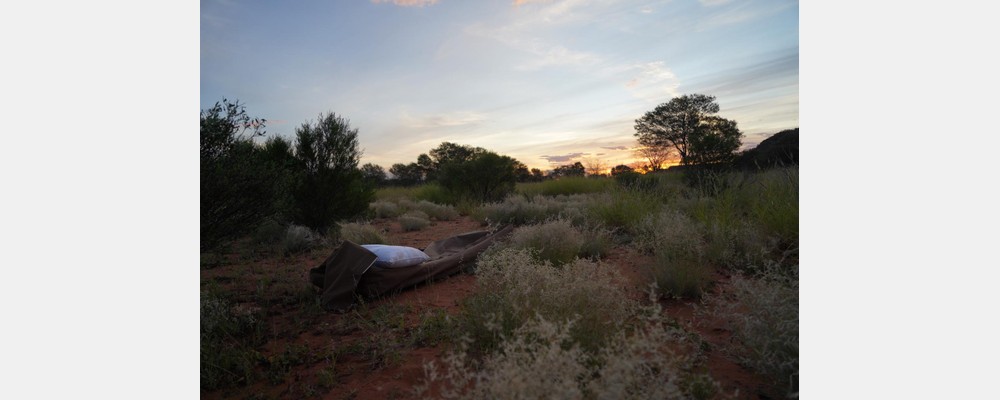 Image from The University of New South Wales