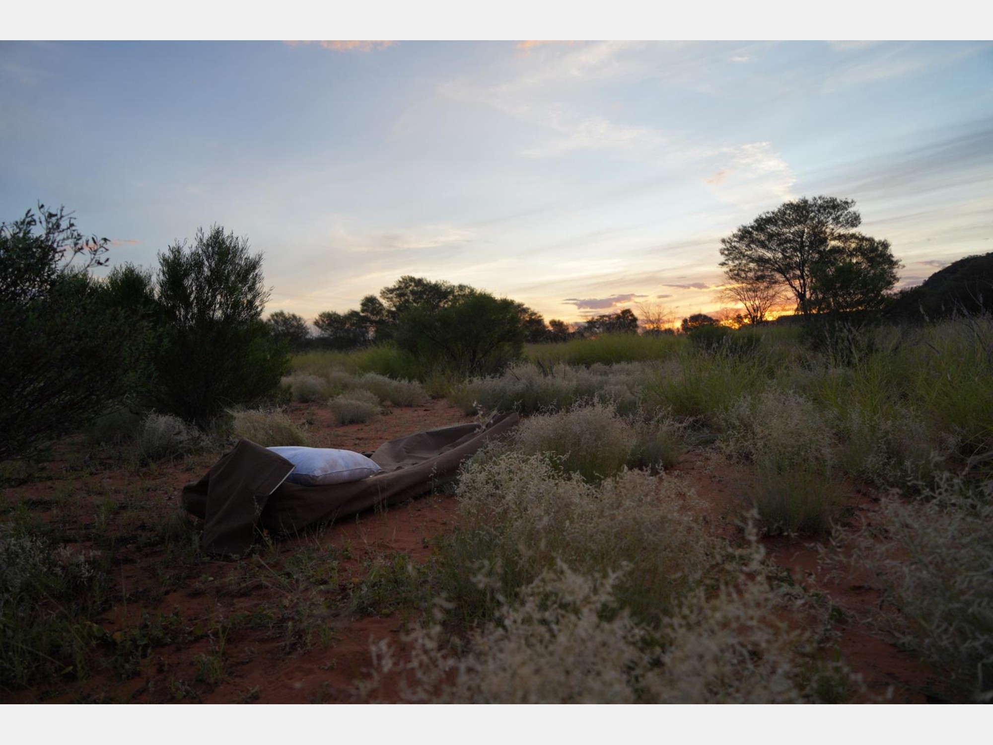 Image from The University of New South Wales