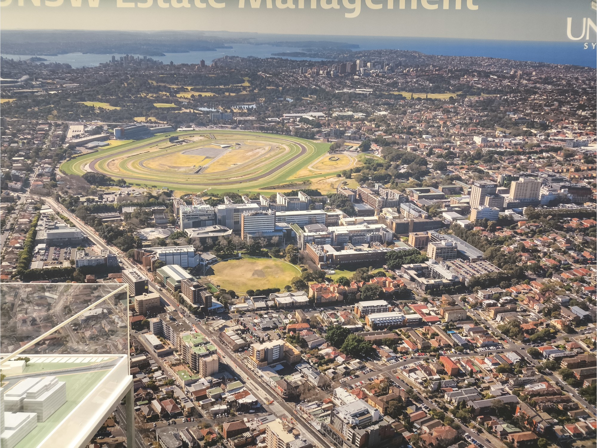 Image from The University of New South Wales