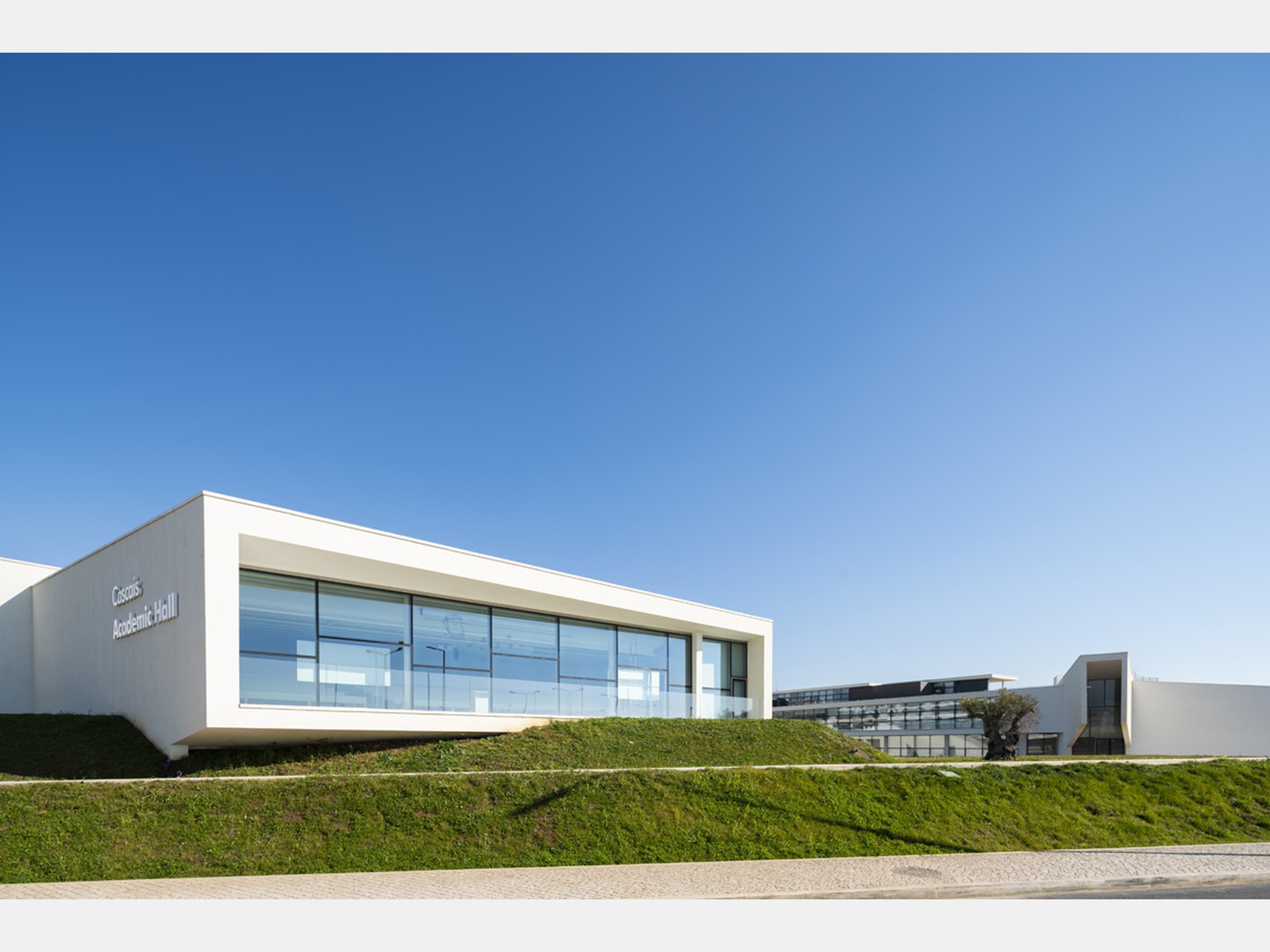 Image from Universidade Nova de Lisboa