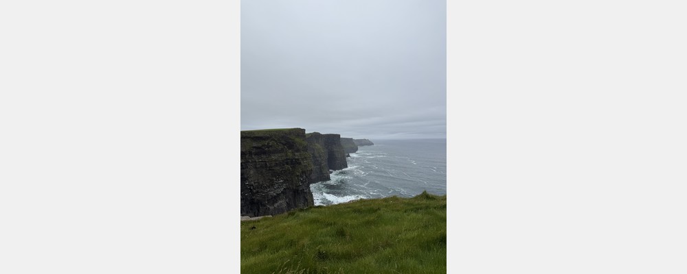 Image from University College Dublin
