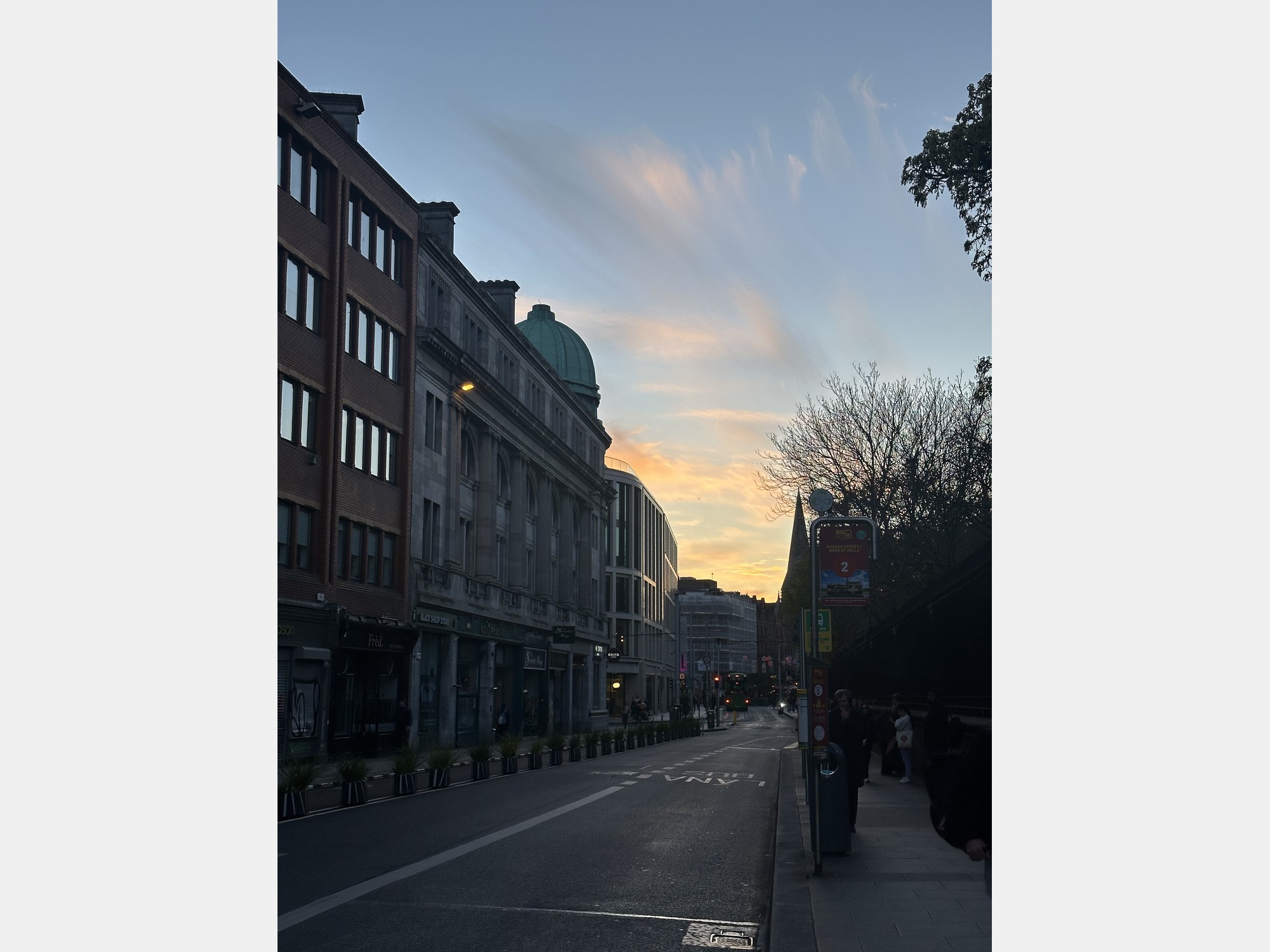 Image from University College Dublin