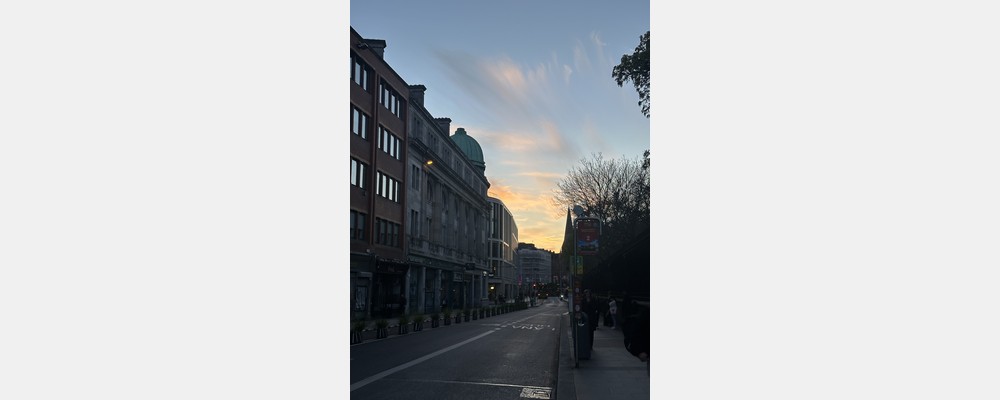 Image from University College Dublin