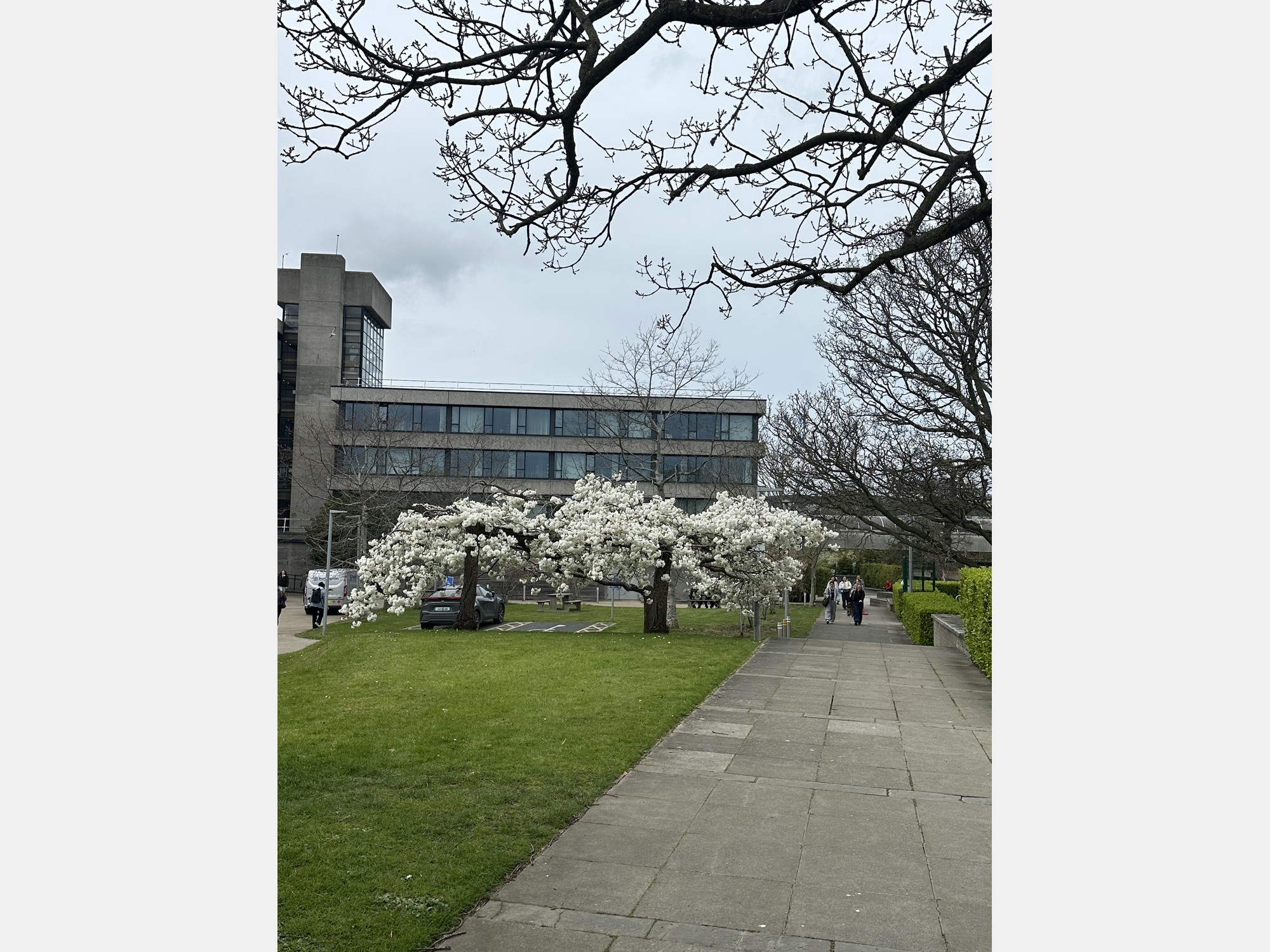 Image from University College Dublin