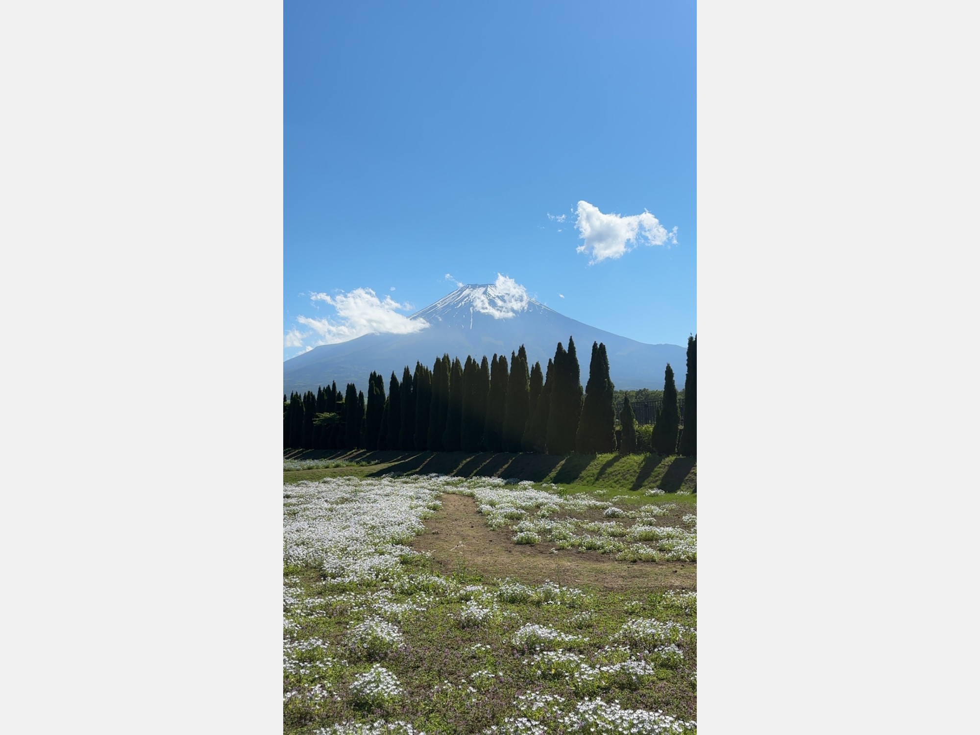 Image from Hitotsubashi University