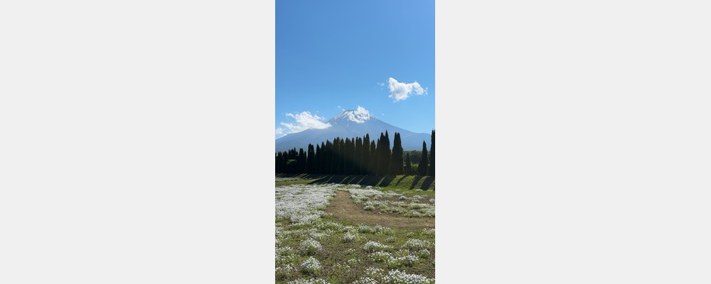 Image from Hitotsubashi University